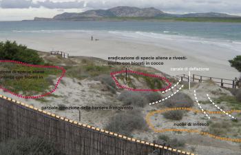 Didascalia 1 Recupero del corpo dunale attraverso interventi di ingegneria naturalistica