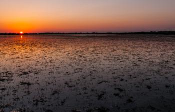 https://vimeo.com/57209376 Tramonto su un pauli